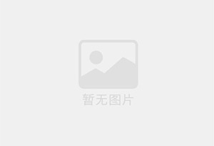 黄糊精价格